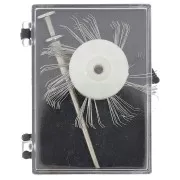 Brossette à mater 20 mm - grain fin 0.3 mm en acier x1