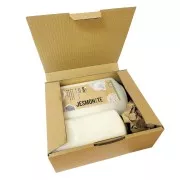 Set de base en poudre 2.5kg et liquide 1L AC100 - Jesmonite