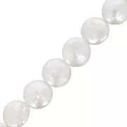 Perles d'eau douce irrégulières - palets ronds 10 mm - Blanc nacré x4