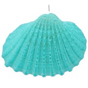 Pendentif coquillage teinté 16 à 20 mm - Turquoise x1