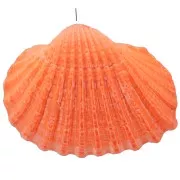 Pendentif coquillage teinté 16 à 20 mm - Orange x1