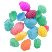 Pendentifs coquillage teinté 14 à 20 mm - Multicolore x20|raw }}