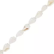 Mini coquillages 10 mm - Naturel x146cm