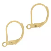 Boucles d'oreilles dormeuses 16 mm - Acier inoxydable 304L Doré x2