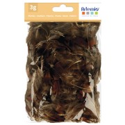 Plumes de faisan 3 à 5 cm pour bijoux et déco DIY - Naturel x3gr|raw }}