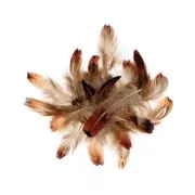 Plumes de faisan 3 à 5 cm pour bijoux et déco DIY - Naturel x3gr