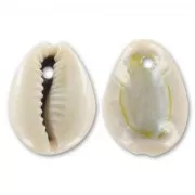 Pendentif coquillage Cauri Naturel x10