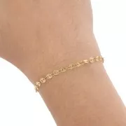 Chaîne maille Fantaisie disque 4 mm - Acier inoxydable 304L Doré x50cm