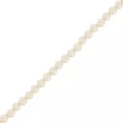 Perles nacrées Aurora 5810 3 mm - Crystal Cream Pearl x61cm