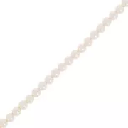 Perles nacrées Aurora 5810 3 mm - Crystal Creamrose Pearl x61cm