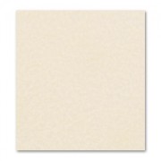 Rectangle de feutrine 1,5 mm 30,5x22,9 cm Light Peach x1|raw }}