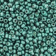 Rocaille Miyuki Duracoat 15/0 4217 - Galvanized Dark Sea Foam x8g