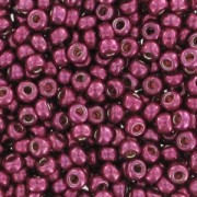 Rocaille Miyuki Duracoat 11/0 4219 - Galvanized Magenta x8g