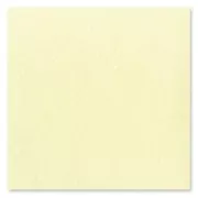 Carré de feutrine pailletée 1 mm 30x30 cm Crème x1