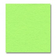 Rectangle de feutrine 1,5 mm 30,5x22,9 cm Neon Green x1