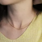 Tour de cou maille Forçat 2 mm - Acier inoxydable 304L Doré x46cm