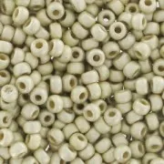 Rocaille Miyuki Duracoat 15/0 4201F - Mat Galvanized Silver x8g