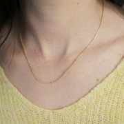 Tour de cou maille Serpentine perlée 2 mm - Acier inoxydable 304L Doré x46cm