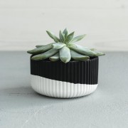 Raysin 250 - Poudre de céramique noire pour moulage - Ultra strong x1kg