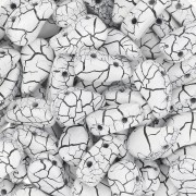 Perles en verre deux trous Paisley Duo 9x5.5 mm - Ionic White - Jet x10g