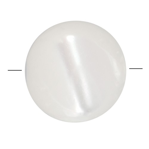 Perles plates rondes en nacre 6 mm x20