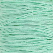 Fil de jade - Fil nylon tressé 0.5 mm - Menthe x9m |raw }}