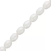 Perles d'eau douce grain de riz - 8x7 mm - Grade A Blanc x10