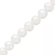 Perles d'eau douce rondes aplaties 6.5x7 mm - Grade AA- Blanc x6