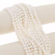 Perles d'eau douce rondes aplaties 6.5x7 mm - Grade AA- Blanc x6