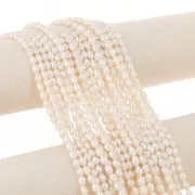 Perles d'eau douce grain de riz - 6x5 mm - Grade AA- Blanc x10