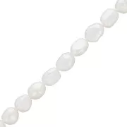 Perles d'eau douce baroques irrégulières 7x6 mm - Grade AA Blanc x10