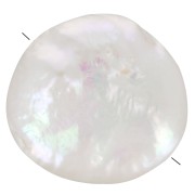 Perle d'eau douce irrégulière - palet rond 12 mm - Grade AA+  Blanc x1