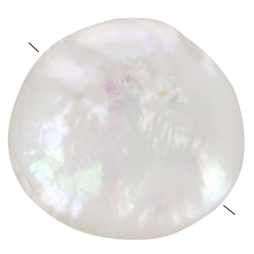 Perle d'eau douce irrégulière - palet rond 12 mm - Grade AA+ Blanc x1
