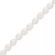 Perles d'eau douce grain de riz - 6x5 mm - Grade AA- Blanc x36cm
