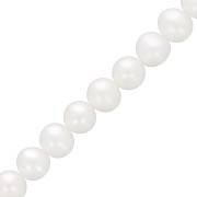 Perles d'eau douce rondes aplaties 6.5x7 mm - Grade AA- Blanc x39cm