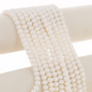 Perles d'eau douce rondes aplaties 8x6 mm - Grade AAA  Blanc x38cm