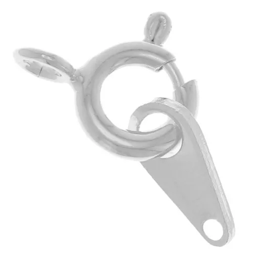 Fermoir à ressort avec attache tag 6 mm - Argenté x1