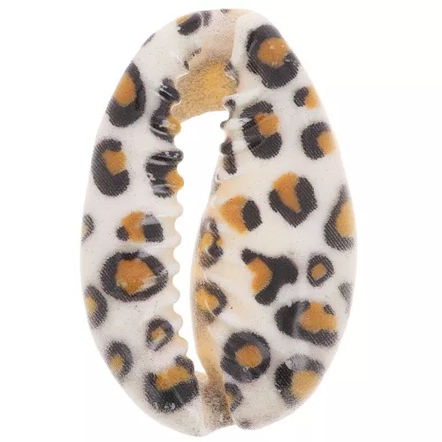 Coquillage Cauri 18-23 mm imprimé motif léopard - Marron clair - Ecru - Noir x1