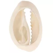 Coquillage Cauri 18-23 mm imprimé motif zèbre - Ecru - Noir x1