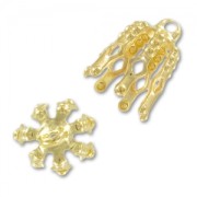 Coquilles 11x9 mm doré x10|raw }}