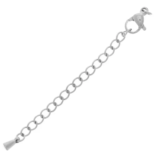Fermoirs mousquetons 10 mm chainette d'extension avec goutte Acier inox 304L x10