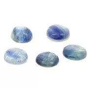 Cabochon rond 8 mm en pierre gemme - Kyanite x1