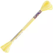 Fil à broder DMC Mouliné Color Variations - Limonade (4077) x8m