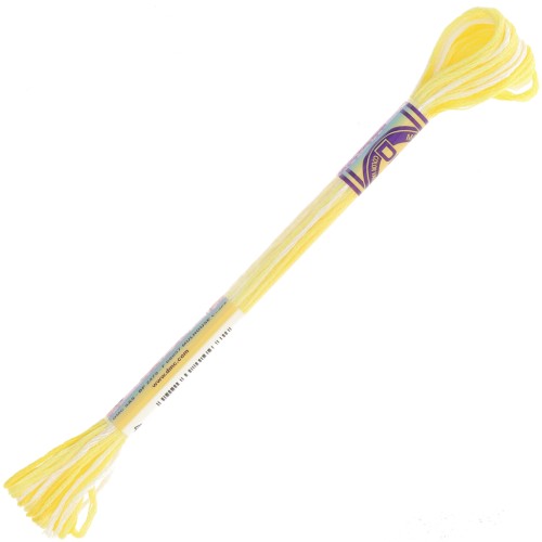 Fil à broder DMC Mouliné Color Variations - Limonade (4077) x8m