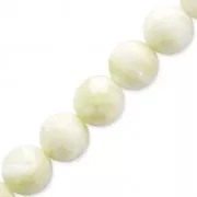 Perles en Nacre Blanche 10 mm x5