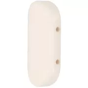 Perle rectangle arrondi 2 trous 27x17 mm en Résine opaque - Ivoire x1