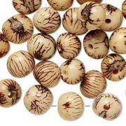 Graines açaï du Brésil 10 mm Naturel x 10