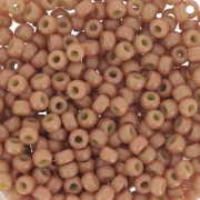 Rocaille Miyuki Duracoat 8/0 4457 - Dyed Opaque cedar x8g