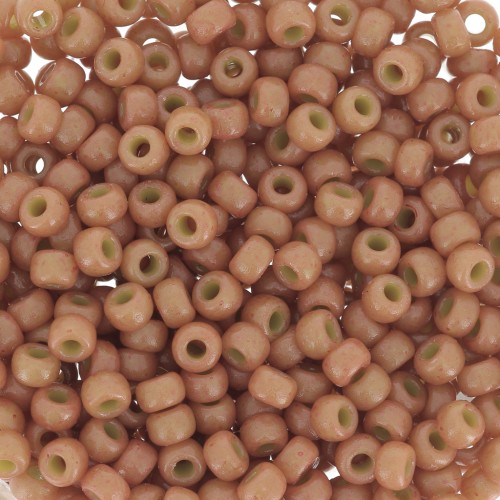 Rocaille Miyuki Duracoat 8/0 4457 - Dyed Opaque cedar x8g