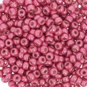 Rocaille Miyuki Duracoat 8/0 4211 - Galvanized Light Cranberry x8g